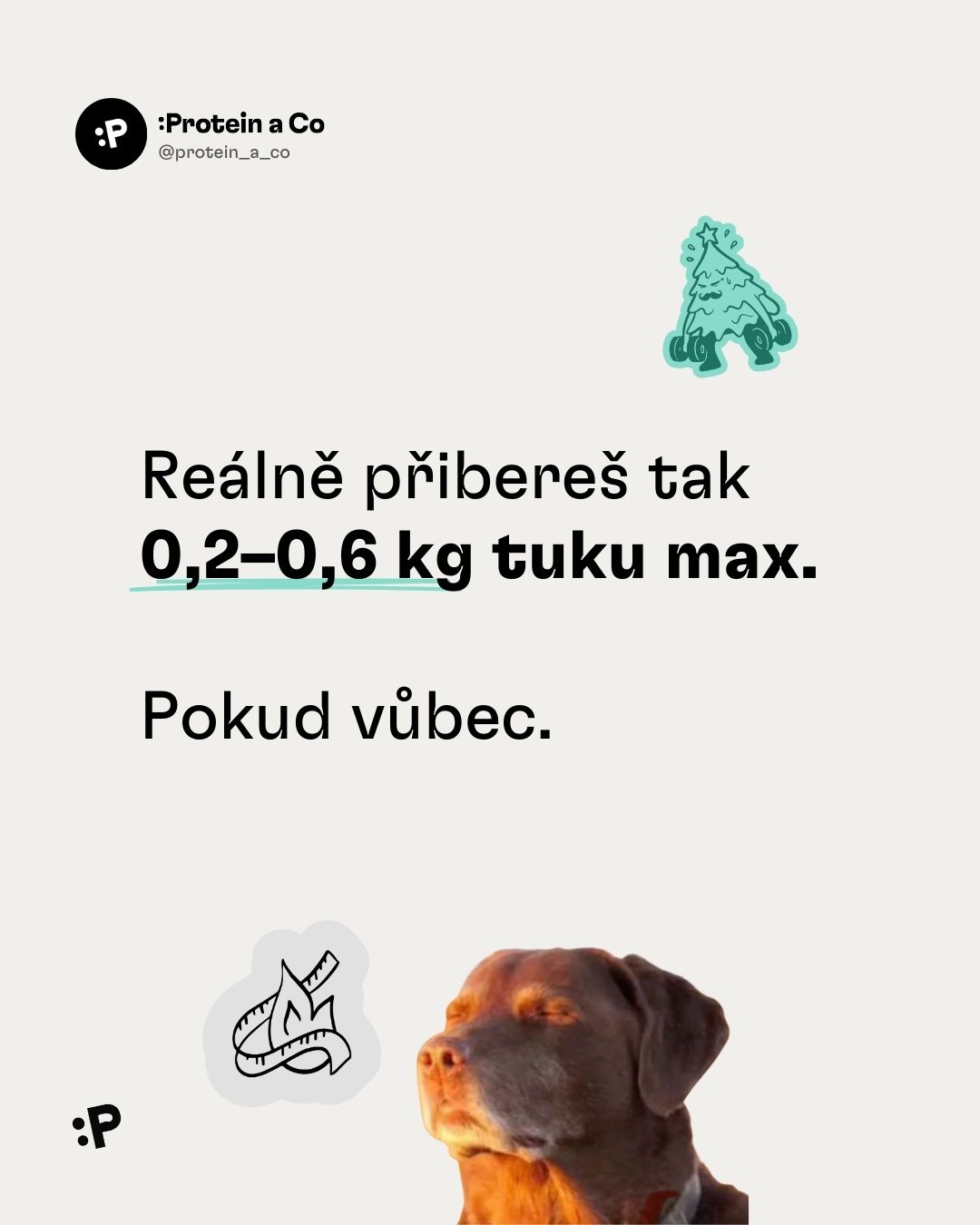 Vanoce-a-forma-1-clanek-ostatni-proteinaco